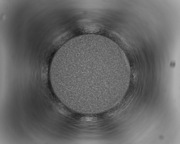 X0000101990745200808151423