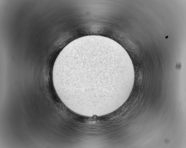 X0000101990746200808151423