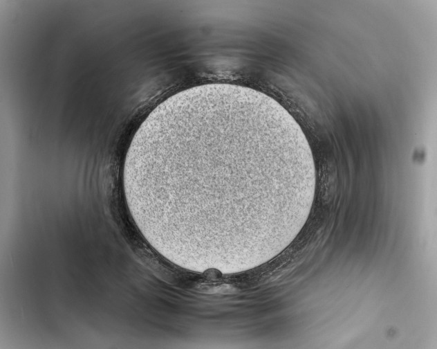 X0000101990747200808151423