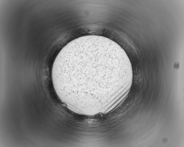 X0000101990748200808151423