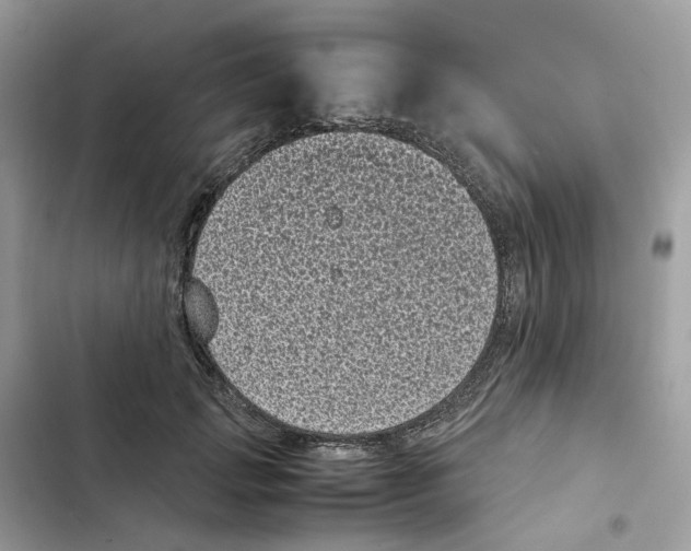 X0000101990749200808151423