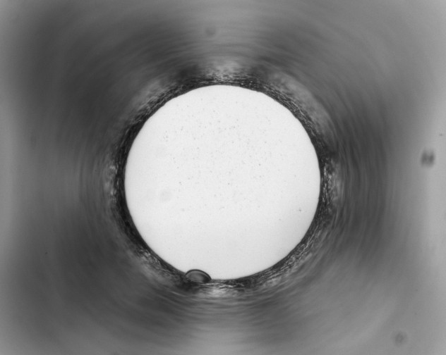 X0000101990750200808151423