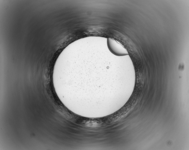 X0000101990751200808151424