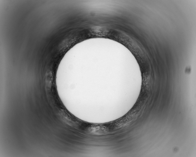 X0000101990752200808151424
