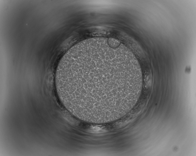 X0000101990753200808151424
