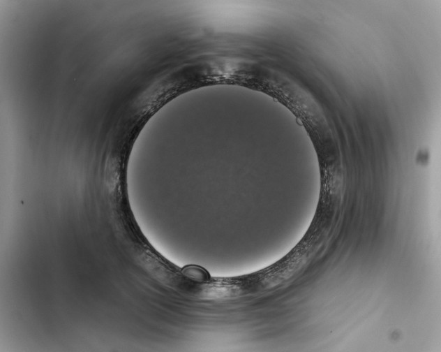 X0000101990754200808151424