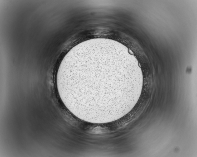 X0000101990755200808151424