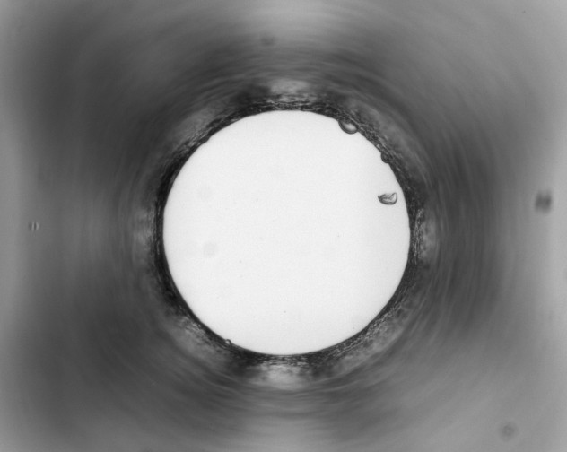 X0000101990756200808151424
