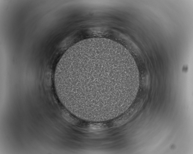 X0000101990757200808151424