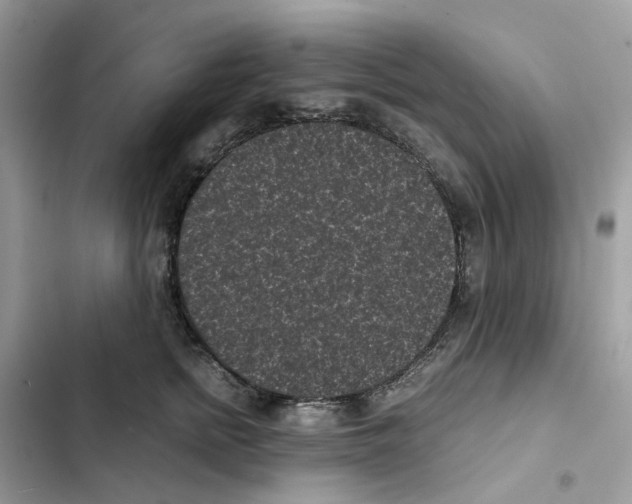 X0000101990758200808151424