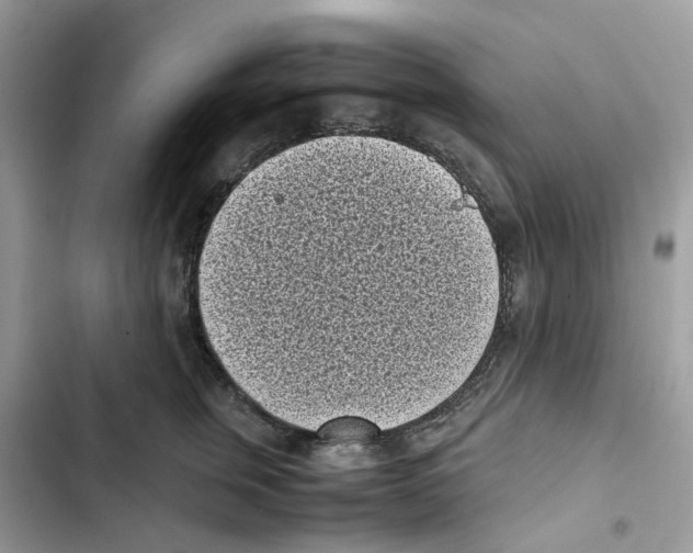 X0000101990759200808151424
