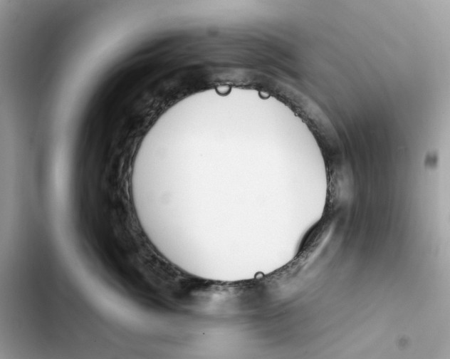 X0000101990764200808151424