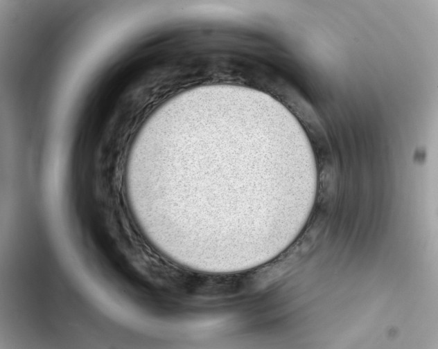 X0000101990765200808151424