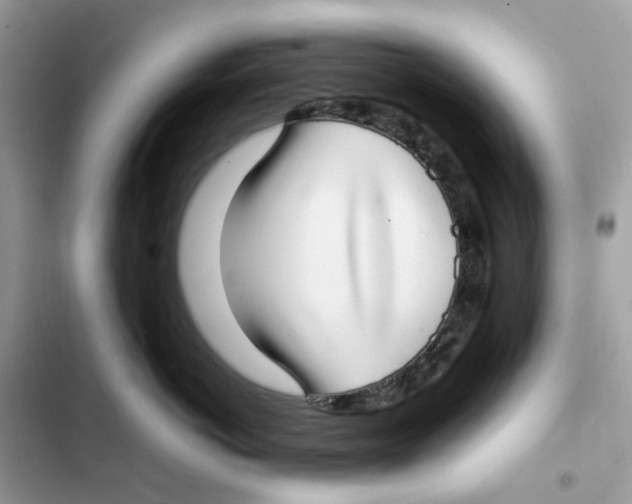 X0000101990766200808151424