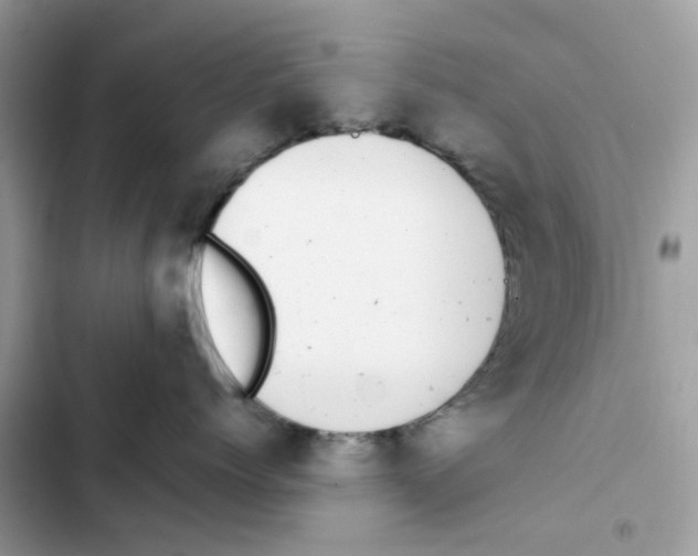 X0000101990768200808151424