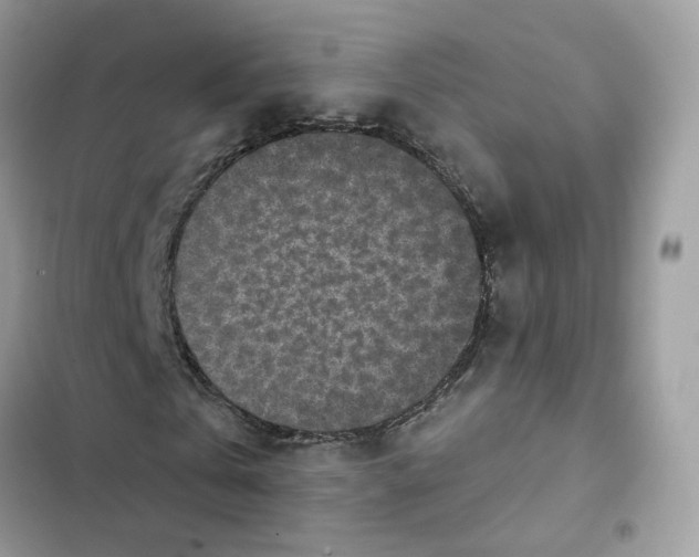 X0000101990769200808151423