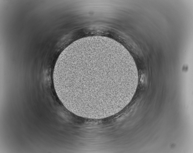 X0000101990771200808151423
