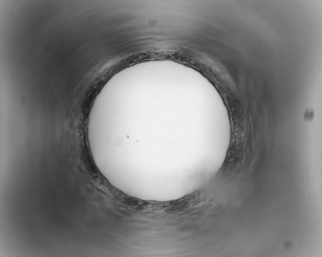 X0000101990773200808151423