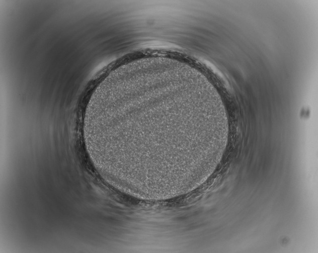 X0000101990775200808151423