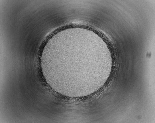 X0000101990776200808151423