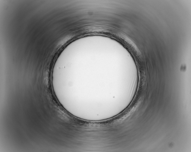 X0000101990777200808151423