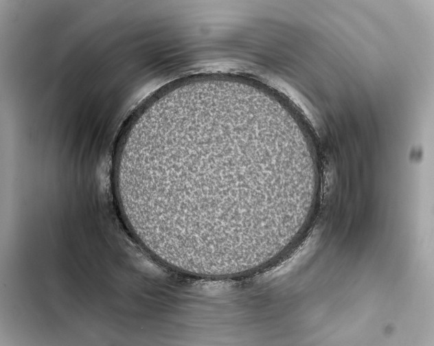 X0000101990778200808151423