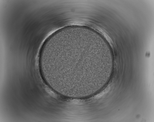 X0000101990779200808151423