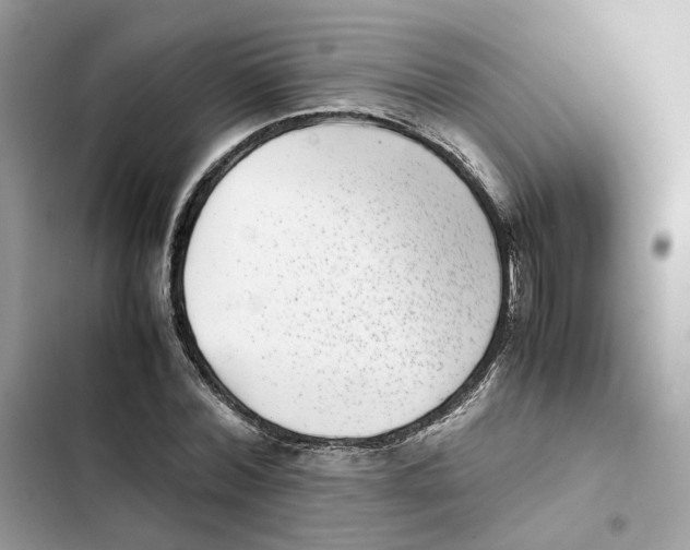 X0000101990780200808151423