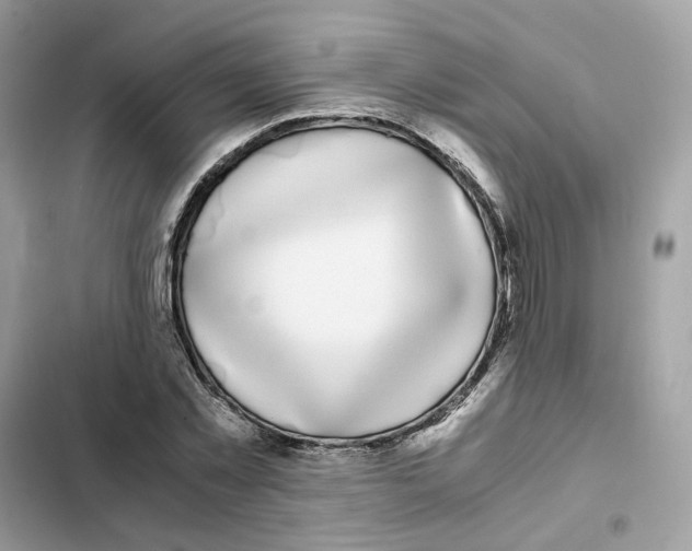 X0000101990781200808151423