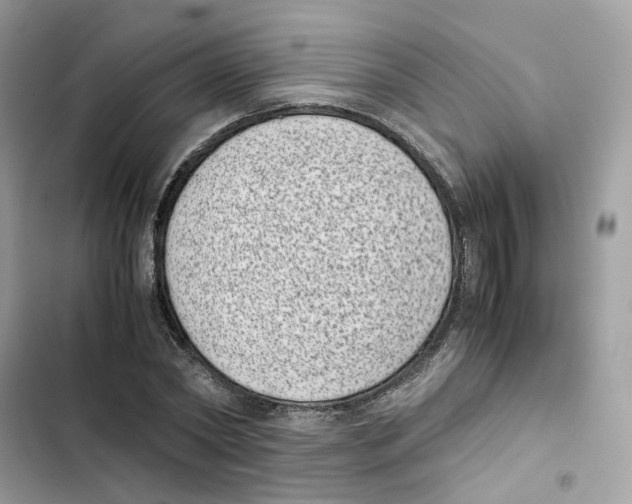 X0000101990782200808151423
