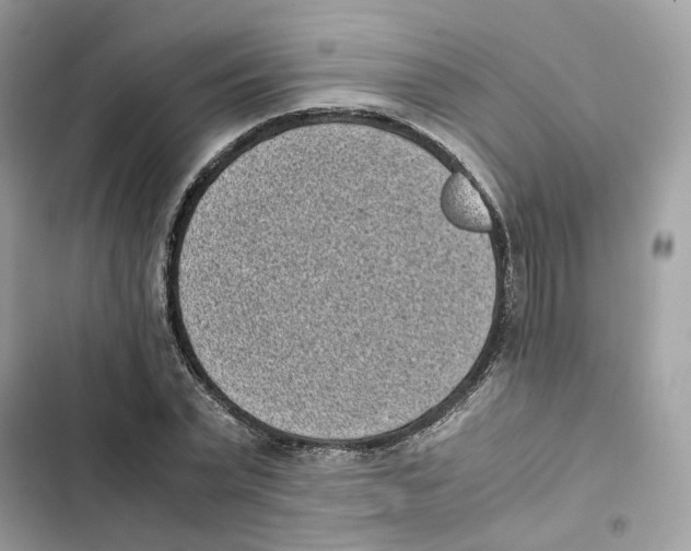 X0000101990783200808151423