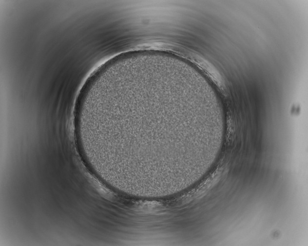 X0000101990784200808151423