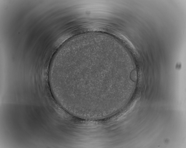 X0000101990785200808151423