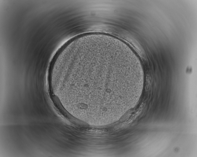 X0000101990788200808151423