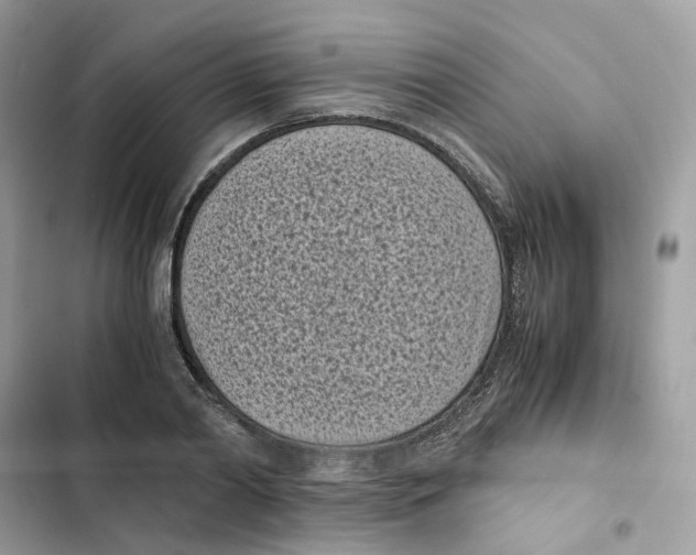 X0000101990790200808151423