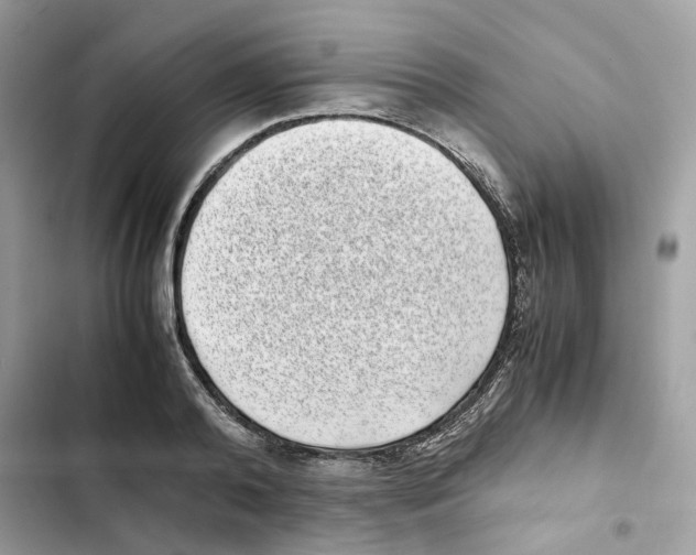 X0000101990792200808151423