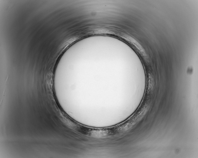 X0000101990793200808151423