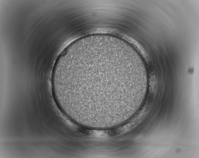 X0000101990794200808151423