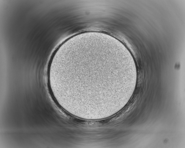 X0000101990795200808151423