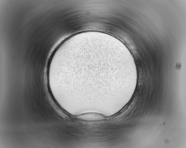 X0000101990796200808151423