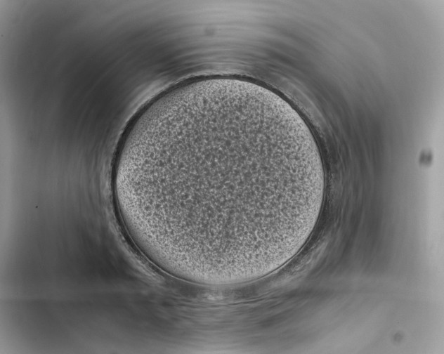 X0000101990797200808151423