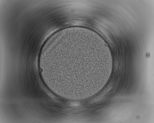 X0000101990798200808151423