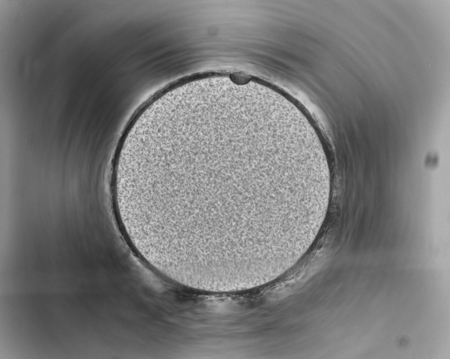 X0000101990799200808151423