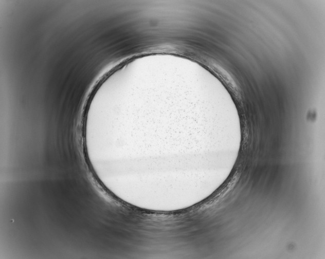 X0000101990800200808151423