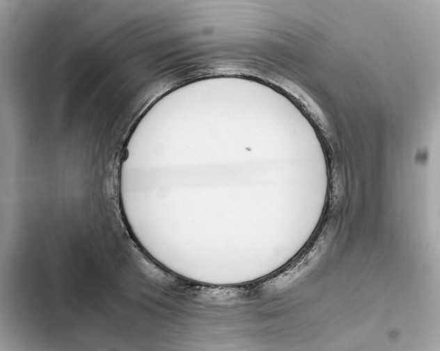 X0000101990801200808151423
