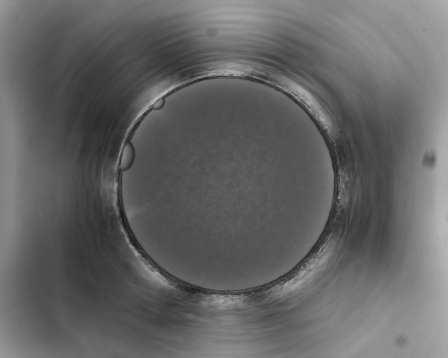 X0000101990802200808151423