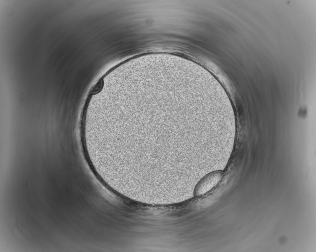 X0000101990803200808151423
