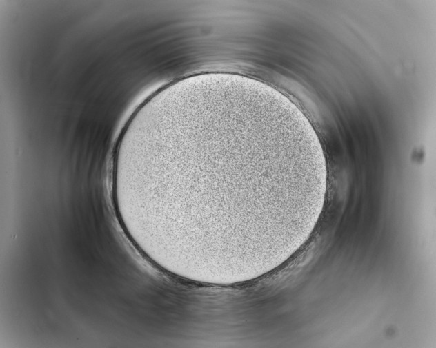 X0000101990804200808151423