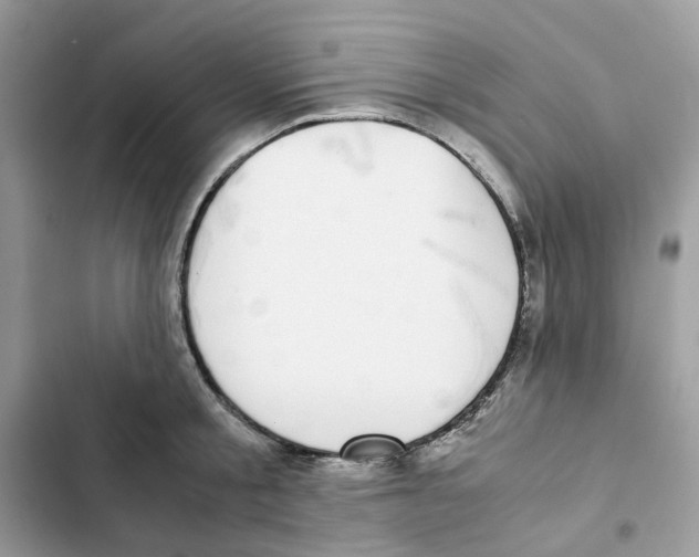 X0000101990805200808151423