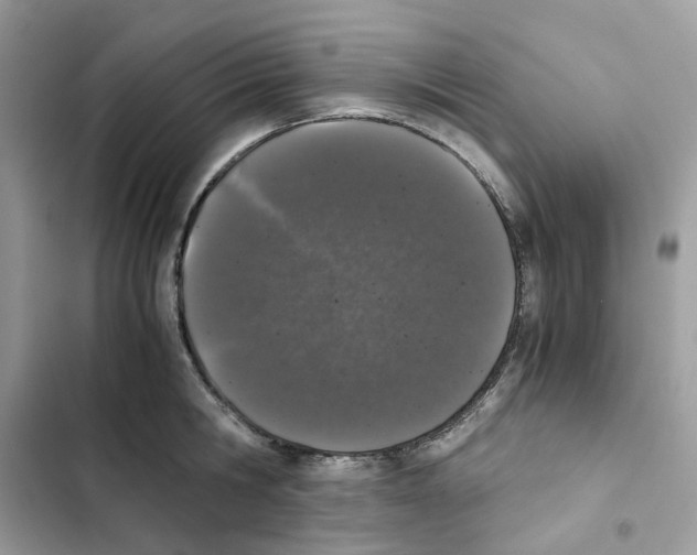 X0000101990806200808151422